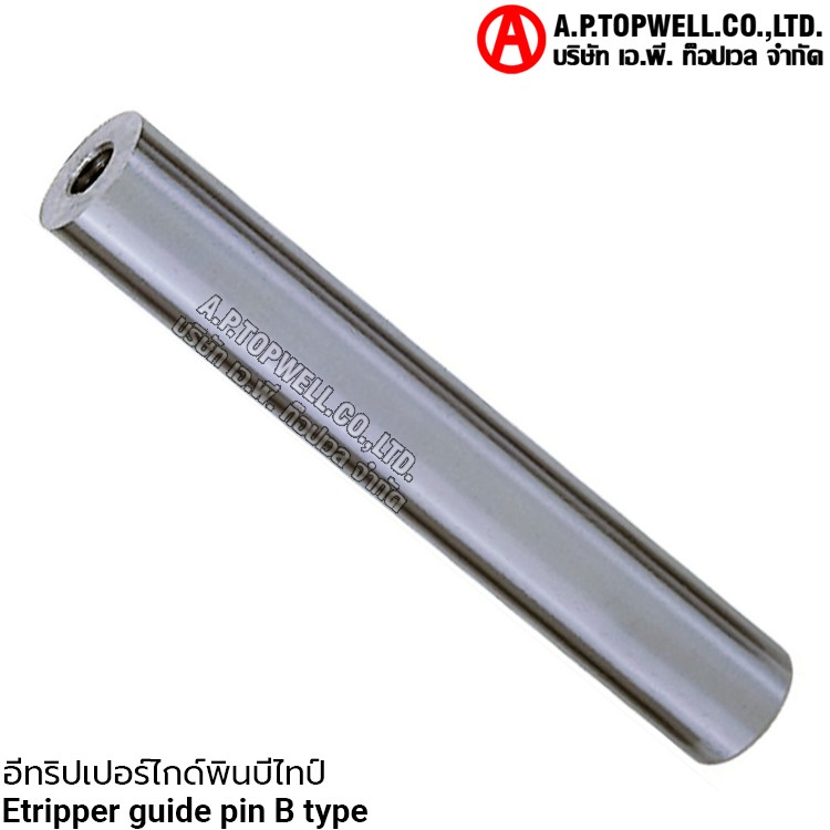 อีทริปเปอร์ไกด์พินบีไทป์